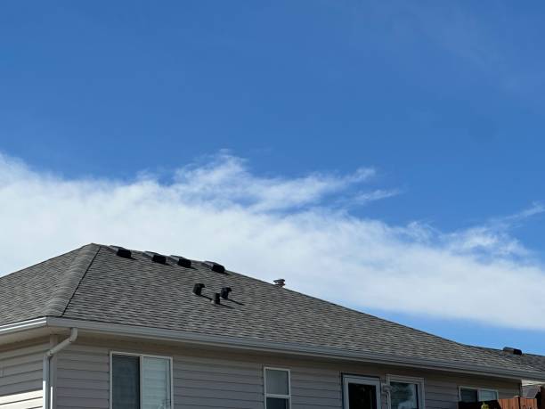 Best Tile Roofing Installation  in Chester Gap, VA
